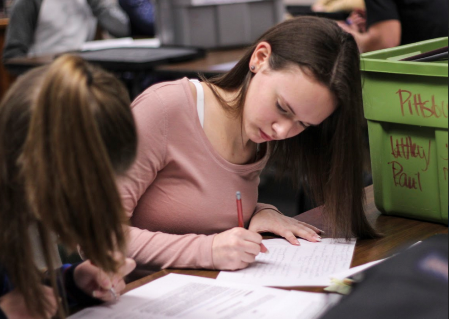 As a new member of debate, freshman Jessica Neef in enjoying the class. It is really hard, but it is also really fun, Neef said. I like researching, creating cases and searching through new evidence. Neef wrote a paper preparing her for her debate. 