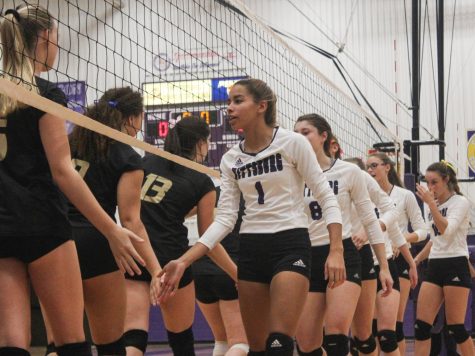 Mantooth, Lancaster resign from coaching volleyball
