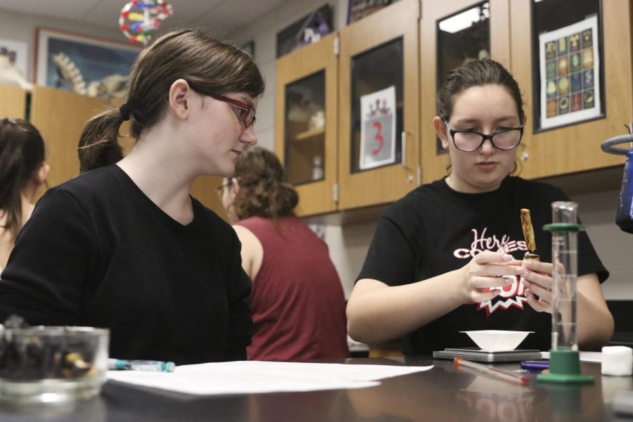 Honors biology students conduct an experiment- Aug. 30