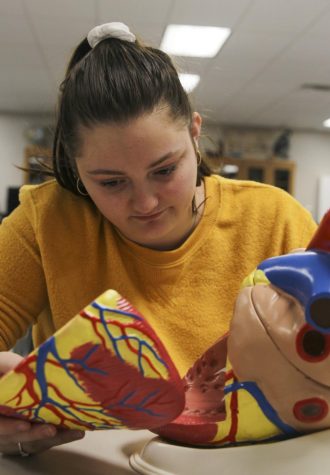 Junior Sofie Cummins studies a model heart for her health science class. Cummins is participating in Girard Youth Leadership through a program for health science at the medical center.
