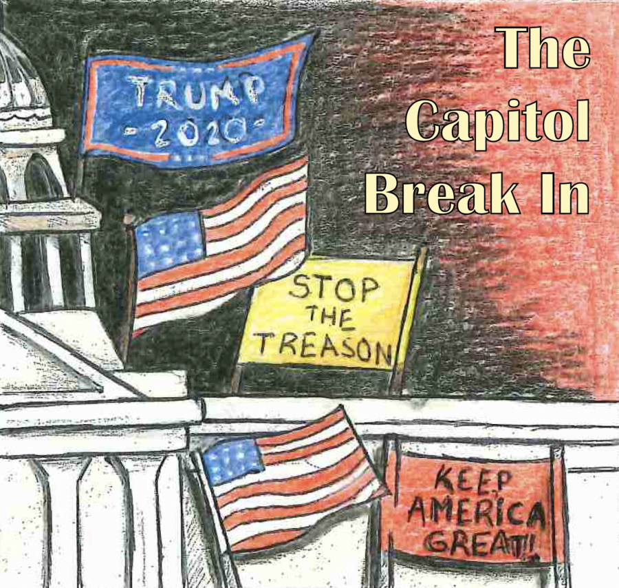 This illustration showcases the capitol break in that occurred on Jan. 6, 2021. 